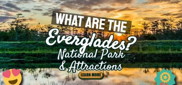 What Are the Everglades?